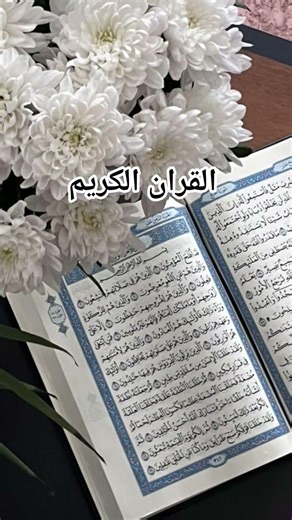 Qur'an Aayat Urdu Translation🫀✨#quranictranslation #quran #surah#tadaburquran #tarjumaquran#islam365