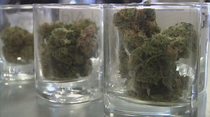 Pot pushing out beer sales