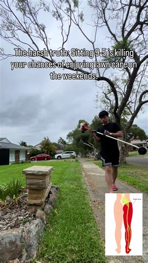 Understanding Sciatica: A Guide for Office Workers