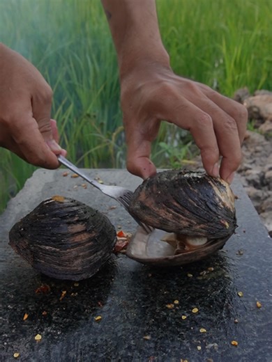 Natural cooking big Snail recipe #cookingforest