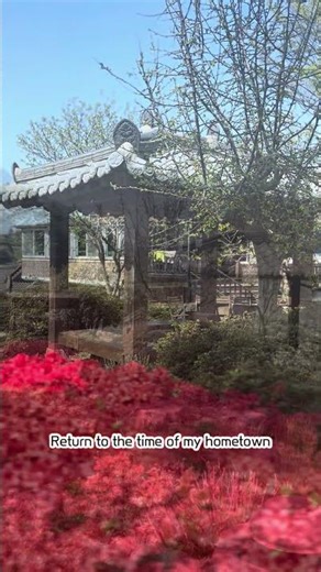 A Peaceful Hometown with Birdsongs