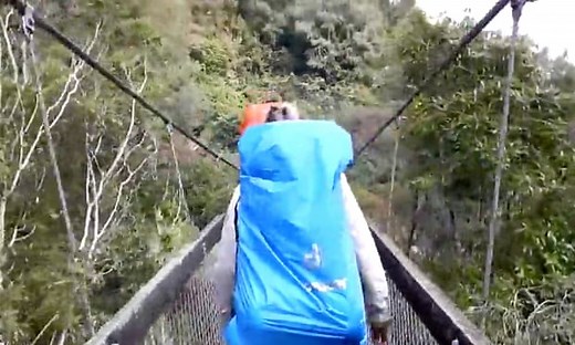 New Zealand suspension bridge snaps as hikers cross – video