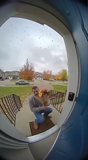 Man Attacked by Swarm of Bees at Home Entrance — Real Footage Caught on CCTV!