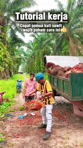 Tutorial Kerja Cepat untuk Kuli Sawit yang Wajib Dipahami
