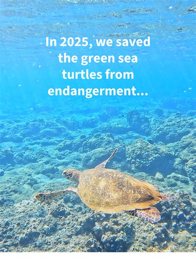 Protecting Polar Bears: Our 2026 Conservation Goal