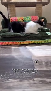 4Z0BRAJQ_R_182.mp4 | Kristi W Cates