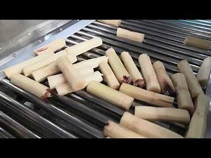 Scaling up fruit drying with advanced machinery air fan drying machine