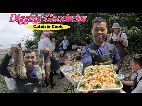 Digging Geoducks ( Catch & Cook) Seattle Washington