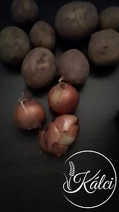 10K views · 510 reactions | Nálunk krumplis tészta volt az ebéd hàzi tésztával. 殺 Én így készítem: https://kalcirecept.hu/krumplis-teszta/ Ti mit ebédeltetek? | Kálci receptjei | Facebook