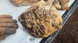 40K views · 502 reactions | Visible gold in quartz along with oxides and sulfides of gold | Mining Claims of Idaho | Facebook
