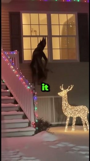 She Thought It Was Just A Decoration