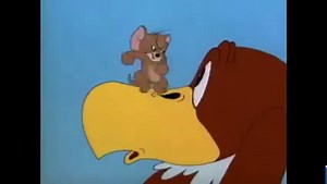 Tom and Jerry - Flirty Birdy | Cartoon So funny