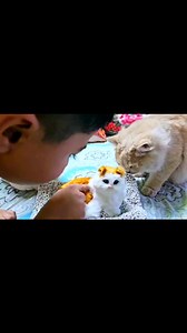 69K views · 463 reactions | Lovely customer review ❤️ | To Teddy Shop | Facebook