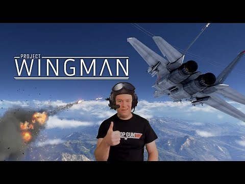Project Wingman VR (Quest 2 + Link)