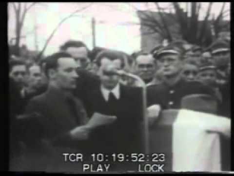 Szczecin - pierwsze dni