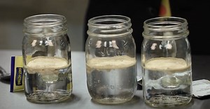 How Sugar Effects Gut Health: MIND-BLOWING Experiment