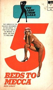 Pulp novel cover art