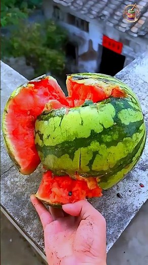Fully Cracked Watermelon Roof Drop Shatter! 🍉💥 | Satisfying ASMR #Shorts