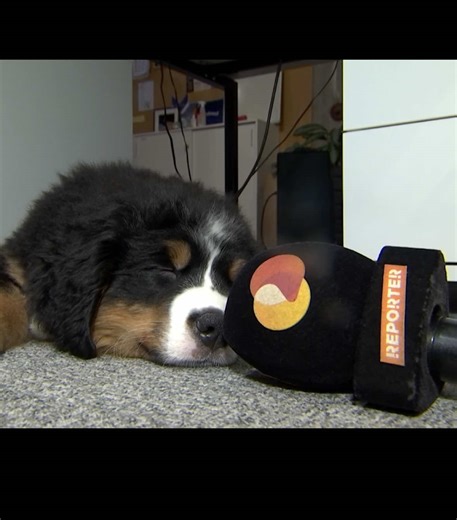 Reporter võtab tööle uus andekaid tegijaid. Täna käis töövestlusel ja seejärel kohe ka esimesel võttel reporter Elli. #fyp #eestitiktok #reporter #eesti