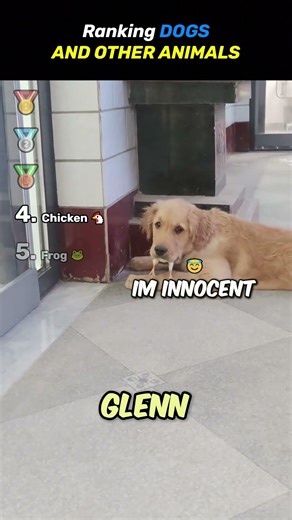 Ranking DOGS And OTHER ANIMALS Core Moments!! 🐶🦜