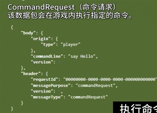 【我的世界】利用websocket播放任意视频！
