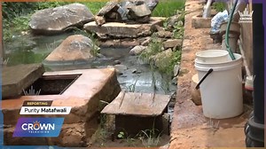 SEWER EFFLUENT IRK RESIDENTS Purity Matafwali The continuous overflow of sewer effluent in chilenje south of Lusaka has left many home owners desperate for a solution to the strong stench. Purity Matafwali has the details in this report. | Crown TV Zambia