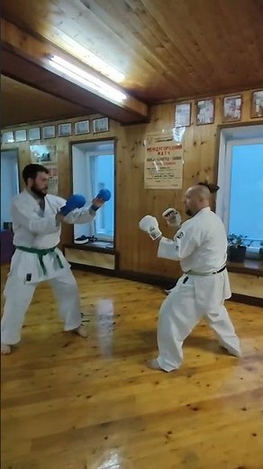 Training kumite combination defense and kick / Uechi ryu Karate