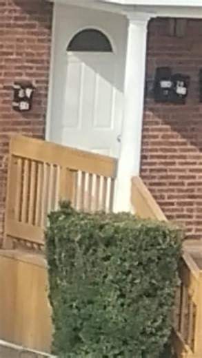 mango 🥭 coconut 🥥 pineapple 🍍 lemon 🍋 cookies 🍪