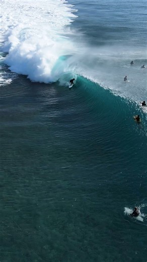 Just stand there and get pitted! #surf #surfing #globalzoo | Global Zoo - Surf Content