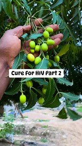 1.5M views · 14K reactions | Cure For HIV Part 2 | Uses Of Herbal Medicines | Facebook