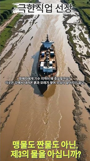 '기수 지역'에서 배를 타야 하는 이유! (강과 바다의 만남)