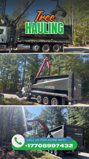 Heavy Tree Hauling – Clean Finish