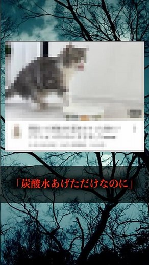もちまる日記「炭酸水あげただけなのに」