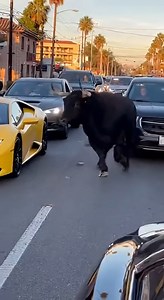 Enraged bull destroys cars in the street. | Artificial Creation