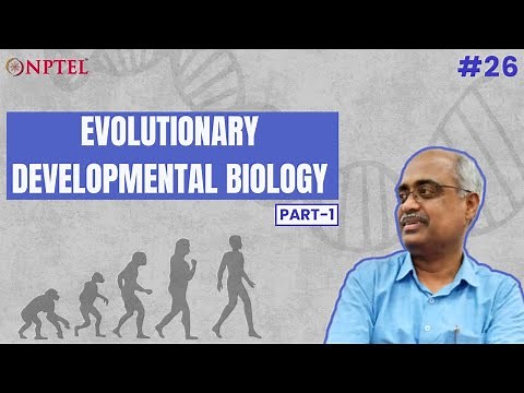 #26 Evolutionary Developmental Biology | Part 1 | Introduction to Developmental Biology