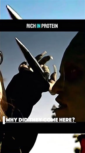 ￼ Alien experiment goes wrong #scififantasy #film #alien #psychedelics