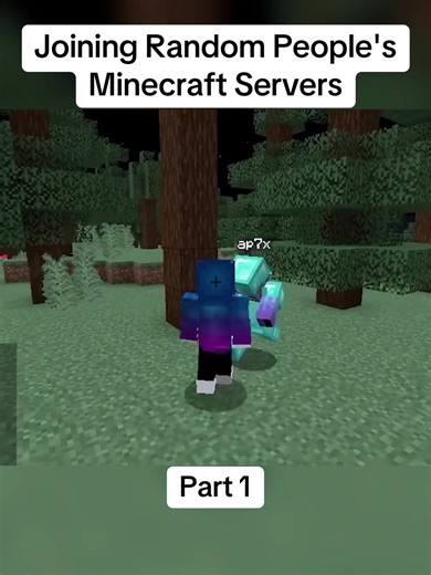 #Joining #Random #People's #Minecraft #Servers | Minecraft Server