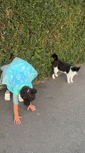 18K views · 479 reactions | 'Felix' The Cat: part 4 ‍⬛ | Axel Blake | Facebook