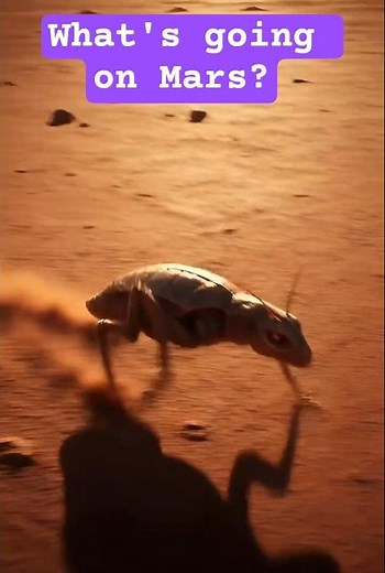Hidden Mars Creatures: NASA videos