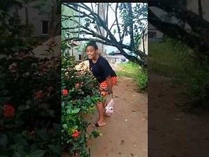 Funny Pee Moments ✨😂😆🤣 #viralvideo #funny #comedy #trending #laugher #urine