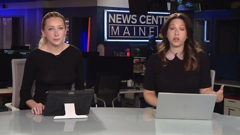 Asian longhorned tick in Maine raises concerns for livestock and wildlife
