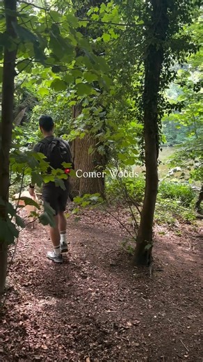 19K views · 445 reactions | Three must-visit spots in the Shropshire Hills this summer ☀️ Gentle strolls in Little Stretton, a spot of wild swimming in Carding Mill Valley and a woodland wonder in Comer Woods ❤️ What's your must-visit spot? Let us know your favourites in the comments! ⬇️ Brilliant  IG / @travelbysunlight | Visit Shropshire | Facebook