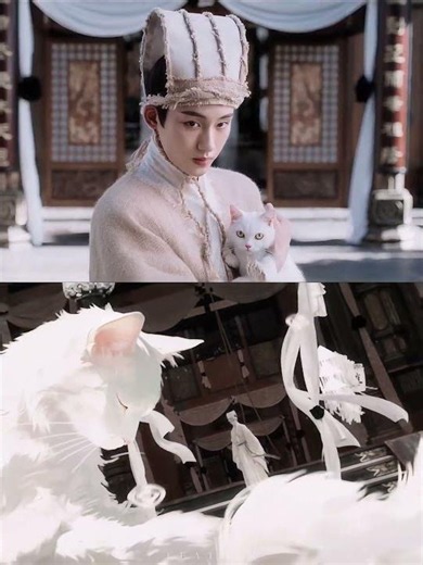 Winwin #董思成 as Ye Xian | Best Scenes | A Splendid Match (Liang Chen Mei Jin) #ウィンウィン