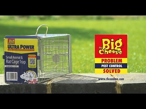The Big Cheese Rat Cage Trap - STV075
