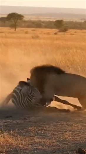 WHAT IF WILD LIFE - AI VIDEOS | Dust, fear, and survival collide. Every second counts now. This is nature unfiltered. #SavannaLife #LifeOrDeath #野生の現実 #자연의법칙 #naturaleza... | Instagram