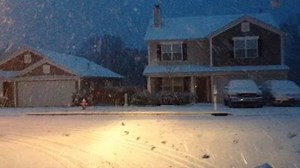 87K views · 888 reactions | This is the drive our assignment editor battled to get to work today. Trust us, if you don't have to be out today, you NEED to stay home. | WSMV 4, Nashville | Facebook