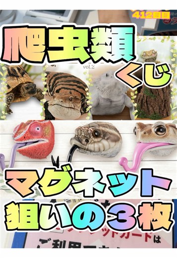 毎日一番くじ412日目爬虫類一番くじで可愛いマグネット狙い#一番くじ #バンダイ #爬虫類 #両生類