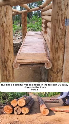 Part 2 | Building a beautiful wooden house in the forest in 30 days, using primitive tools. #building #treehouse #bushcraft #shelter #campinglife #outdoors #survivalskill #part2