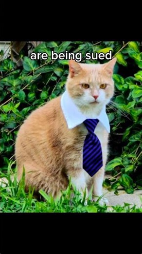 Larry Law 😈😈... #trending #funny