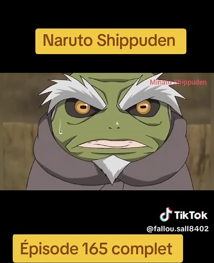 Naruto Shippuden Épisode 165 complet